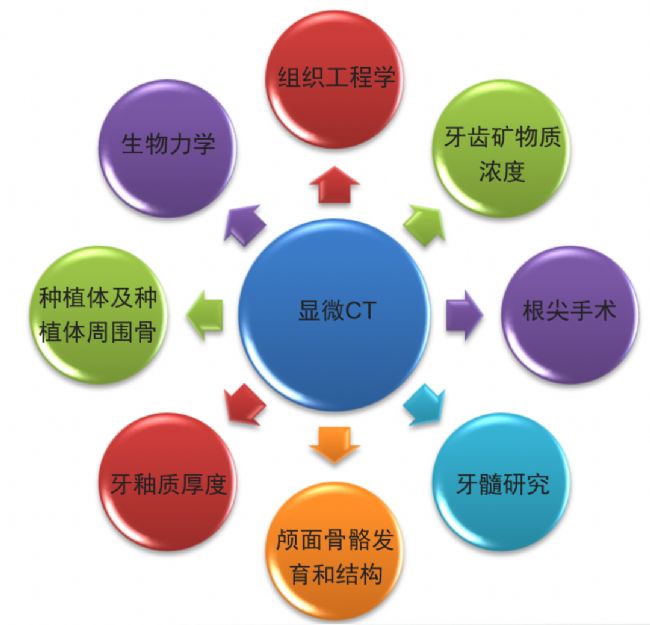 �@΢ CT �������еđ�(y��ng)��