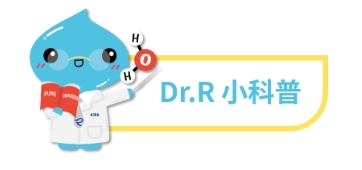 Dr.R С����