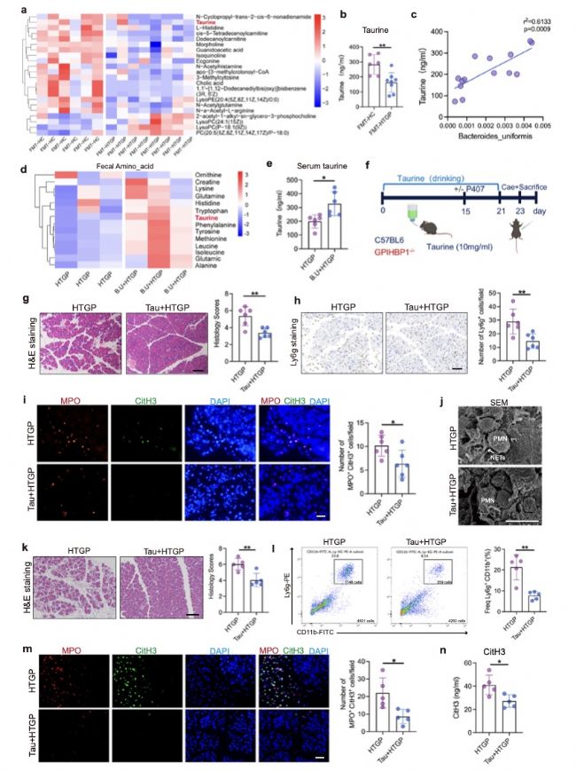 �߸�������Ѫ�Y�������׵����ÙC(j��)��