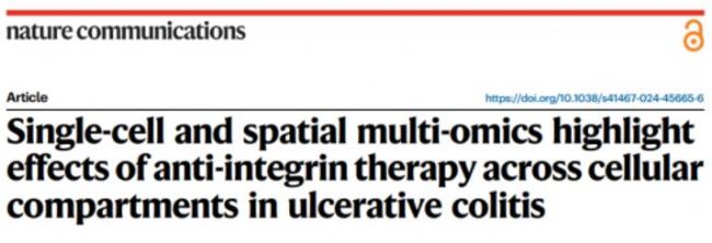 文本描述已自動(dòng)生成
