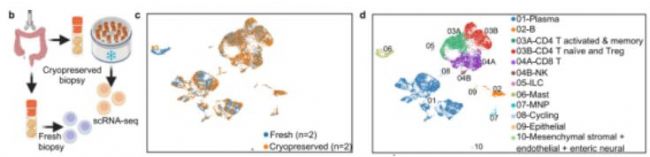 圖形用戶界面, 文本, 應(yīng)用程序, 白板描述已自動(dòng)生成