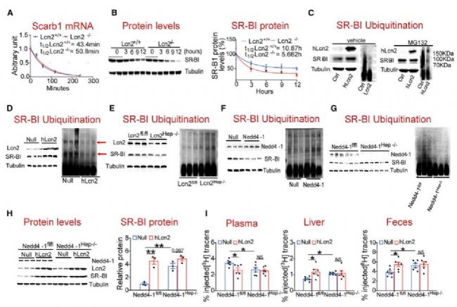 ��(f��)����W(xu��)�����µȈF꠰l(f��)�F(xi��n)���}����Ӳ�����P(gu��n)�I�{(di��o)��(ji��)����