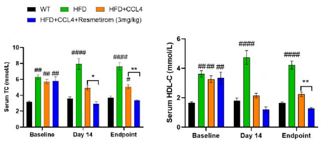 MASH��NASH��С��