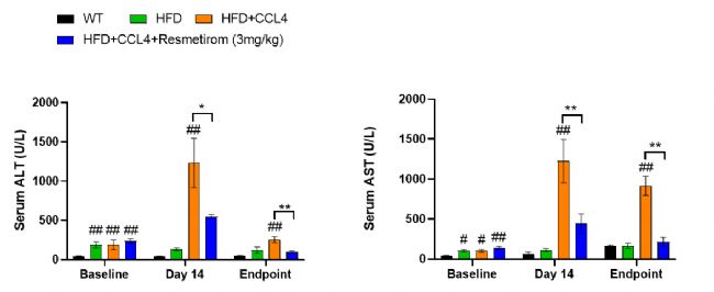 MASH��NASH��С��