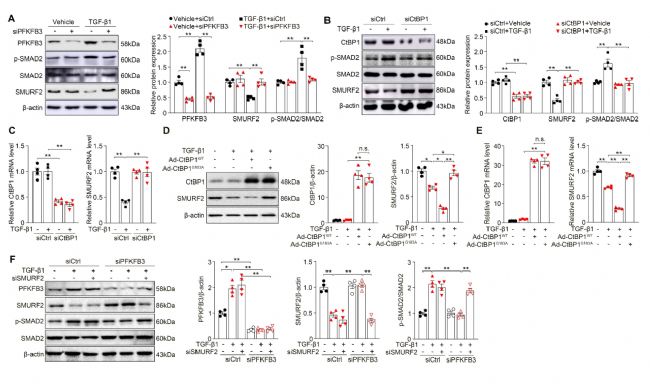 �V���t(y��)�ƴ�W(xu��)�l(f��)�F(xi��n)����(d��ng)�}�ؘ�(g��u)�{(di��o)���C(j��)��
