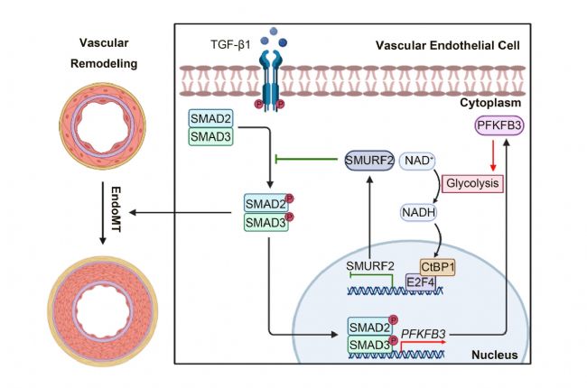 �V���t(y��)�ƴ�W(xu��)�l(f��)�F(xi��n)����(d��ng)�}�ؘ�(g��u)�{(di��o)���C(j��)��