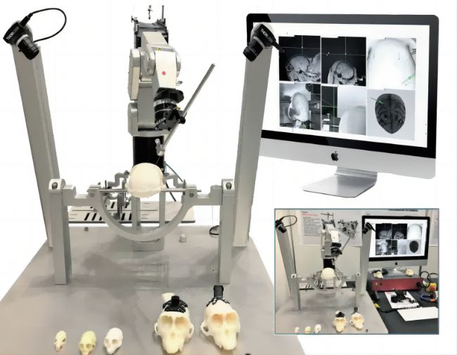 【Brainsight客戶文章】北京大學(xué)段小潔課題組實現(xiàn)獼猴全腦神經(jīng)活動監(jiān)測