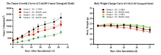 �[�������ĳ�Ҋ����ģ�͡����Y(ji��)�c��ƪ