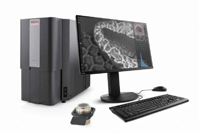 飛納臺式掃描電鏡