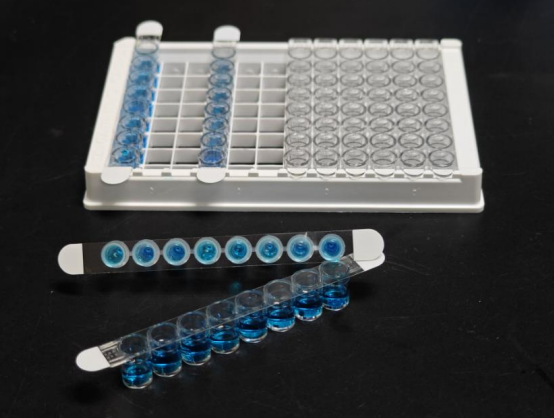 �����   ���Ĥ