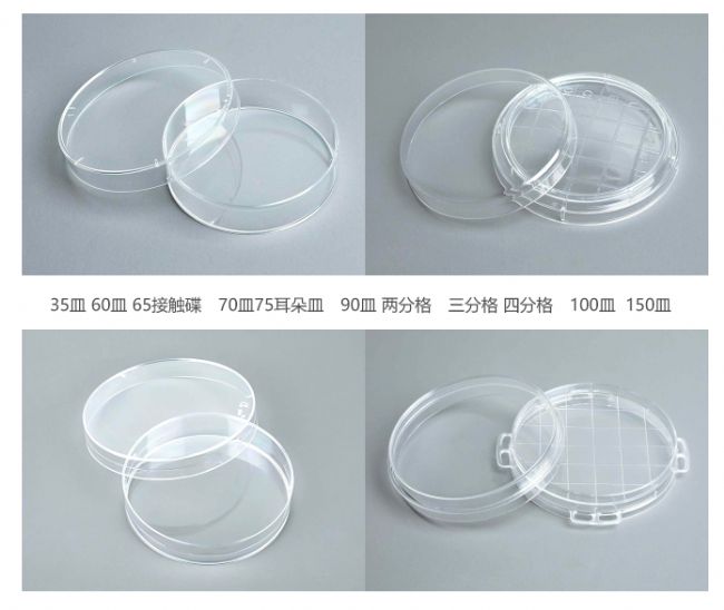 ���B(y��ng)�� �������B(y��ng)�� �������B(y��ng)�� �����