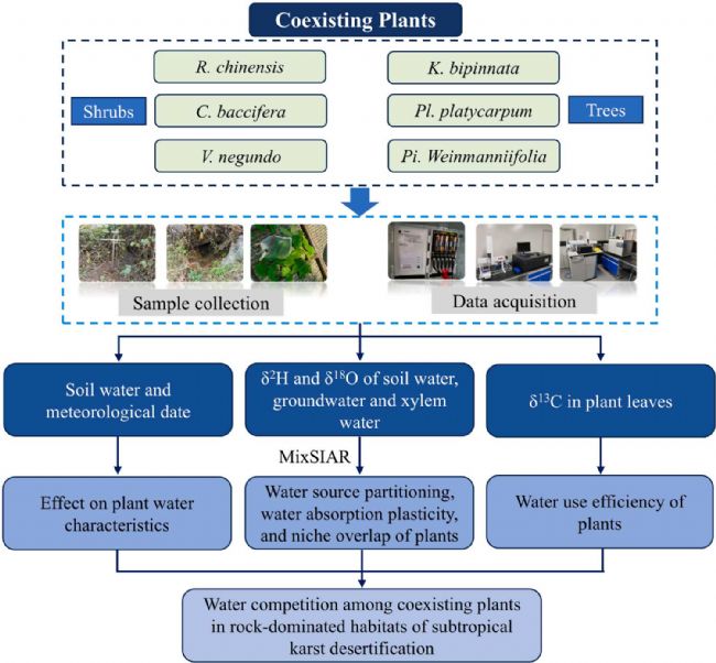 LI-2100�ڿ�˹��ʯĮ���؅^(q��)ֲ��ˮ�������о��еđ�(y��ng)��