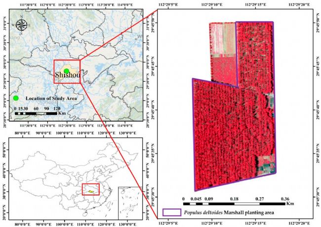 300TC | 機(jī)載高光譜成像儀助力美洲黑楊健康監(jiān)測(cè)