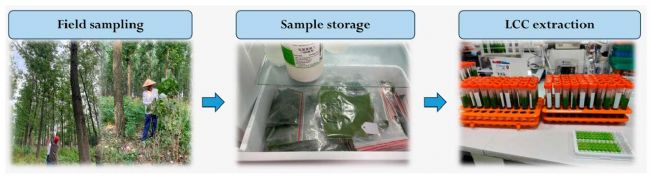 300TC | 機(jī)載高光譜成像儀助力美洲黑楊健康監(jiān)測(cè)