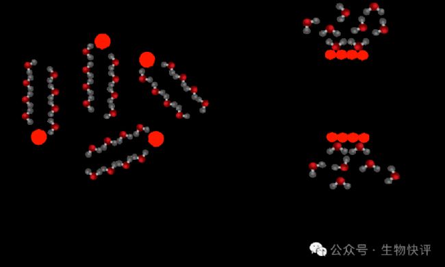 Thermodynamics of Membrane Formation - Wize University Biology Textbook |  Wizeprep