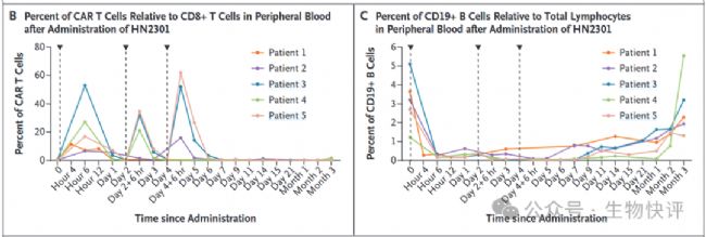 �D���Ñ�����, �D�� AI ���ɵă�(n��i)�ݿ��ܲ����_��