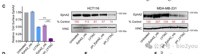 David Baker at the summit of Spark Plug Mountain, Washington, July 31, 2013