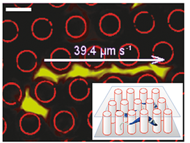 ��ͨ����AI ���ɵă�(n��i)�ݿ��ܲ����_��