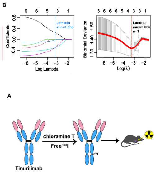 �w��(n��i)��������ֲ����