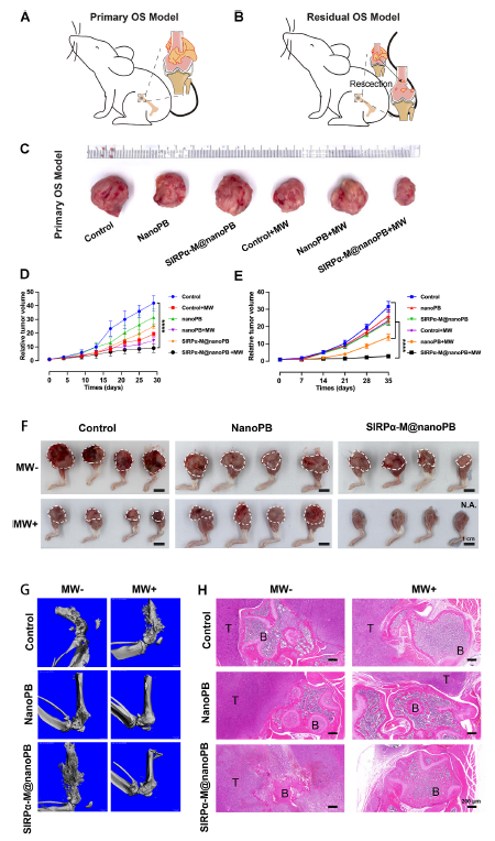 �w��(n��i)�ί�Ч��