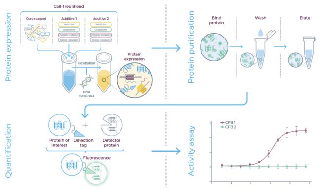 ���ê��صğo����������wϵ��Cell-free Blend���M�е��ױ��_�c�����Y�x���S���_չ���׷Ŵ��c������C��