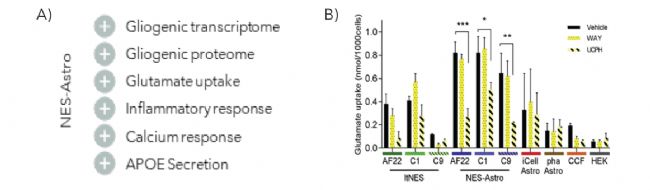 Biolaminin 521֧���R�����P(gu��n)�����z�|(zh��)��(x��)��ģ���_�l(f��)�^��