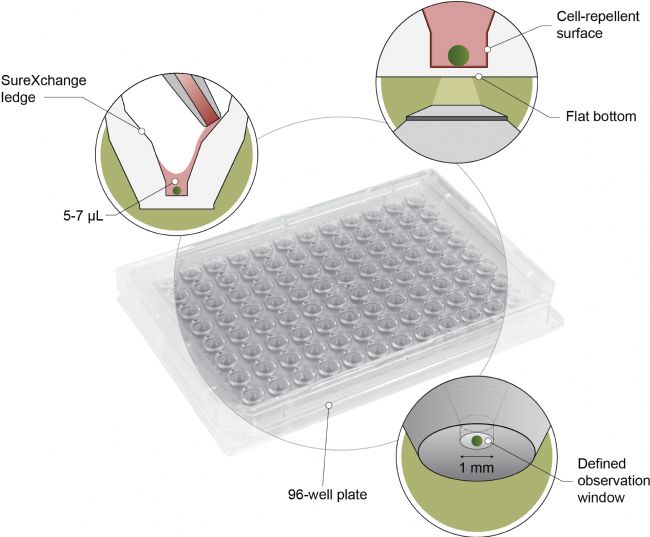 Akura 96孔3D細(xì)胞微球培養(yǎng)板