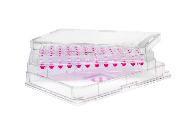 Akura 3D細(xì)胞懸滴培養(yǎng)板