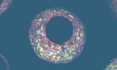 ��֧�ܿ�϶���γɵ�оƬ���K�M��