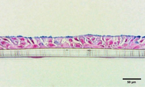 ֧��ܷ�оƬ�M���ښ�Һ�������B(y��ng)