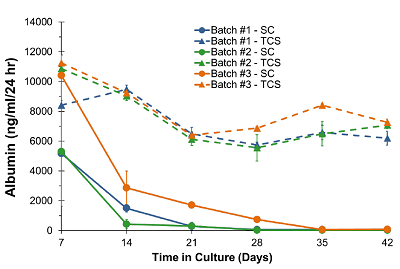 SC和TCS培養(yǎng)體系下3個(gè)不同PHH批次在培養(yǎng)42天內(nèi)白蛋白分泌情況