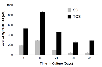 3個(gè)批次PHH在SC、TCS中培養(yǎng)35天內(nèi)利福平誘導(dǎo)的CYP3A4酶活性變化