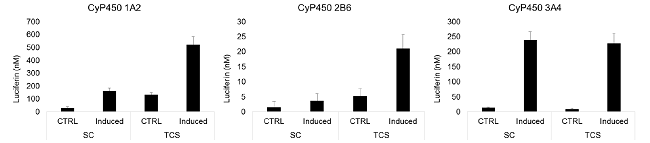 培養(yǎng)第7天SC與TCS中CYP酶(CYP1A2/CYP2B6/CYP3A4)誘導(dǎo)活性對(duì)比