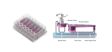 CN Bio雙器官芯片板