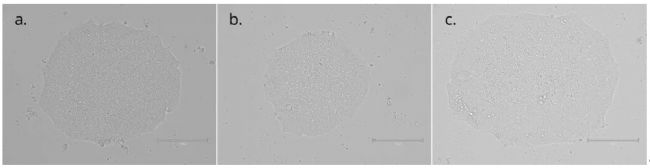 QkPlate 6�װ�(Qk2001)�����B(y��ng)Ч��