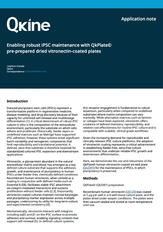 使用QkPlate預(yù)制干燥的玻連蛋白包被培養(yǎng)板,可實現(xiàn)iPSC的穩(wěn)定培養(yǎng)