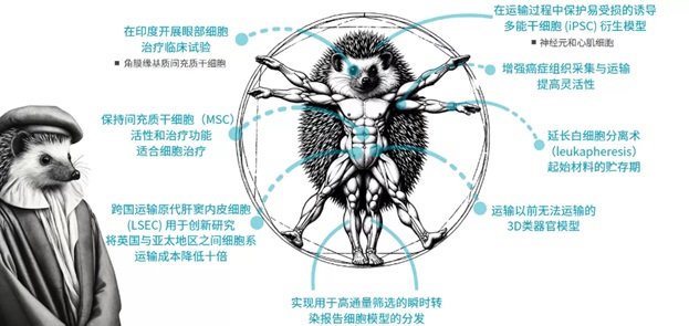 Atelerix�a(ch��n)Ʒ��(y��ng)�ò��ֳɹ�����