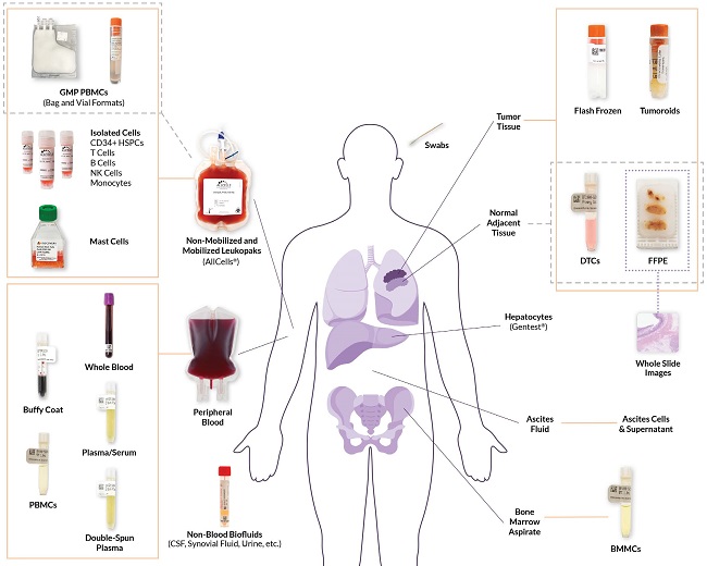 DLS����ӱ���Q����