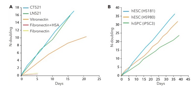 hPSCs��hESCs��CT521�Ͽ����ҷ�(w��n)������ֳ