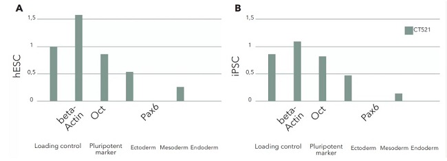 hESCs��hiPSCs����CT521�����B(y��ng)�����Ժͷֻ���ӛ����_����