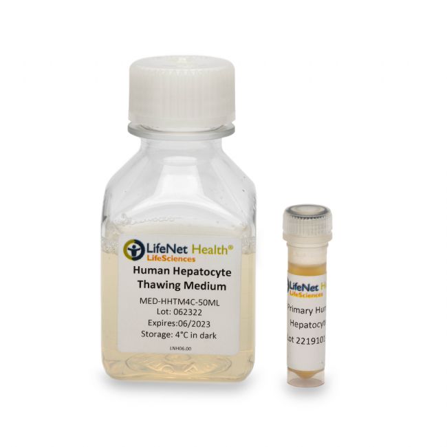 人原代肝細(xì)胞與原代肝細(xì)胞復(fù)蘇培養(yǎng)基