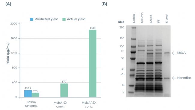 eProtein Discoveryϵ�y(t��ng)��Ĥ����MsbA�M�зŴ����B(y��ng)�c��s����C�Y(ji��)��