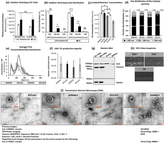 MSC-EVs�ķ��x���������c��S�ȱ����Y(ji��)��