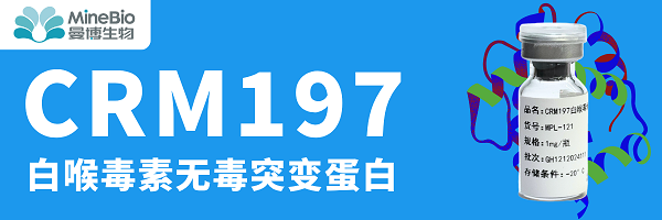 CRM197白喉毒素突變體-曼博生物官方提供