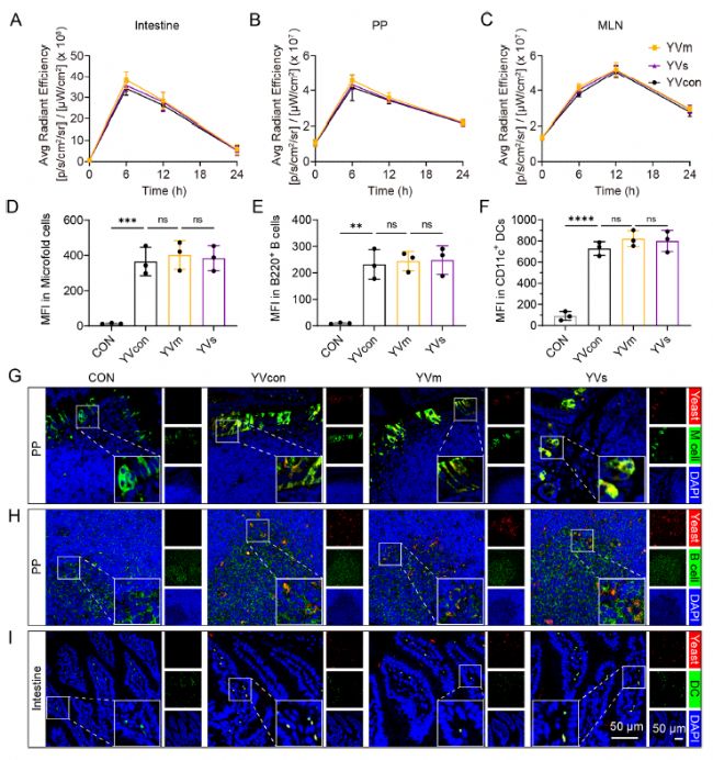 �����w��(n��i)�ֲ�����(x��)���zȡ�D