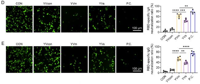 �ٲ����к͌��D