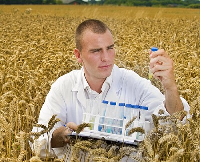 ʳƷ����Ϙ�Ʒ�Ƃ���ھ����g(sh��)�Y��