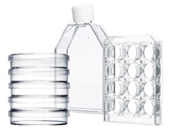 Eppendorfȫ�¼�(x��)�����B(y��ng)�Ĳ�����