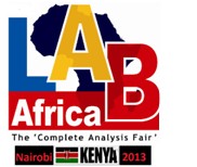 2013�зǣ����၆������Ҽ��g(sh��)չ ��Lab Kenya��