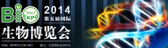 ����Ç��H���ﲩ�[������������